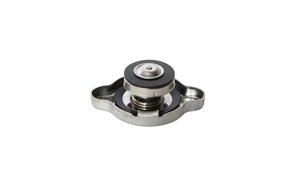RADYATÖR KAPAĞI HYUNDAI UNIVERSAL 25330-36000-K