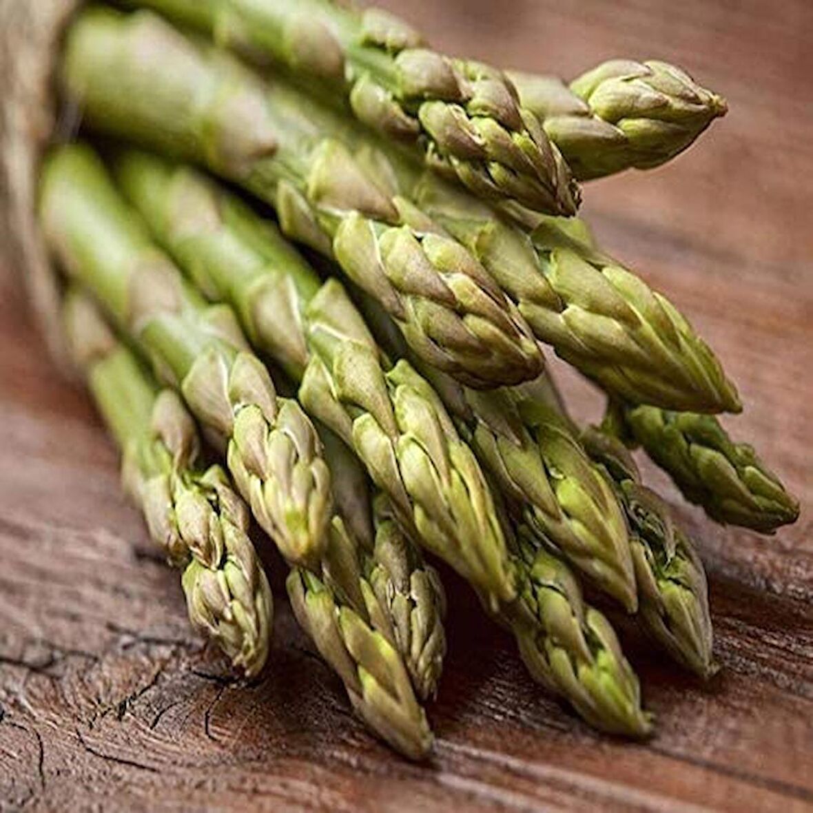 Kuşkonmaz Asparagus Tohumu