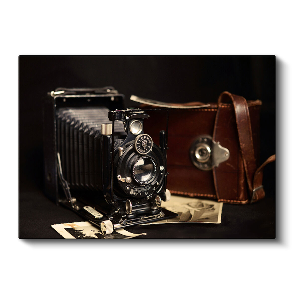Antika Körüklü Fotoğraf Makinesi ve Deri Çanta Vintage Kanvas Tablo