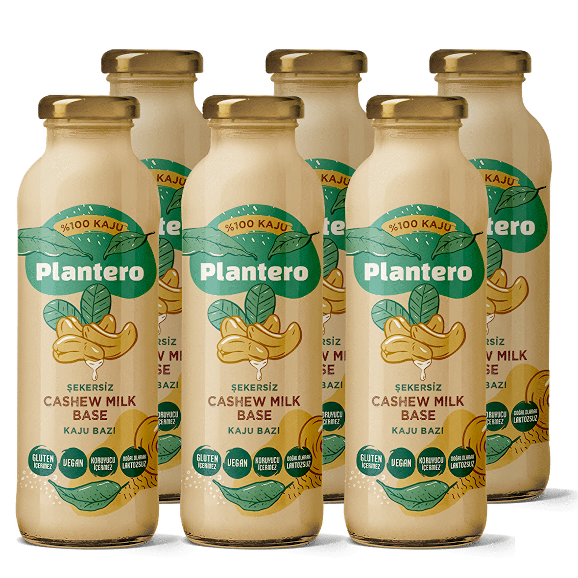 PLANTERO 6'lı Kaju Bazı Konsantre Set 250 gr x 6