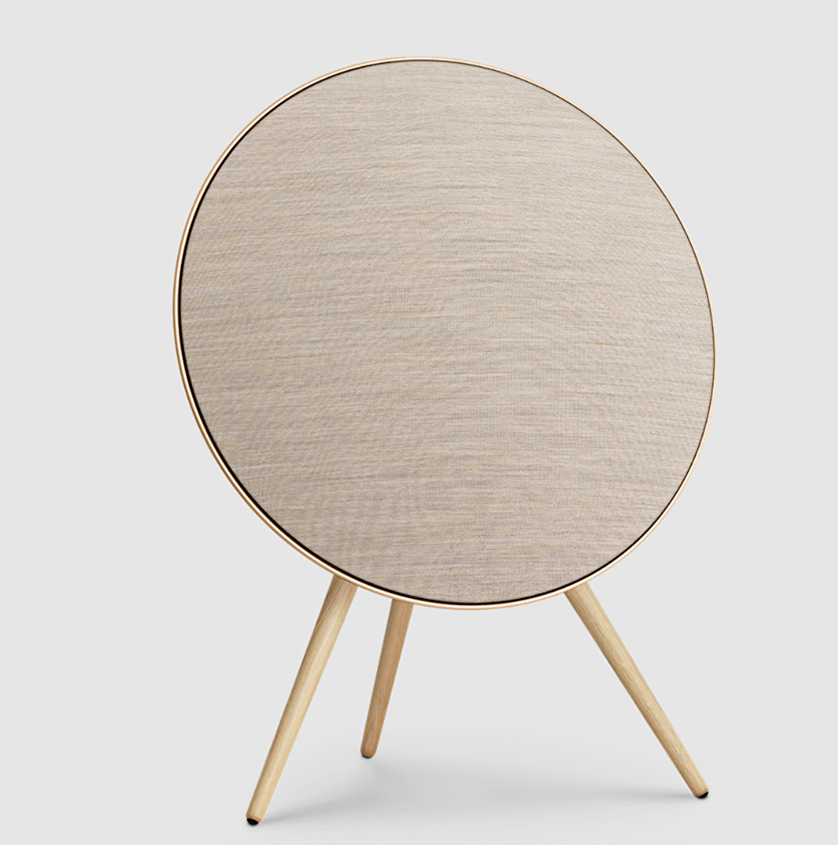 Bang & Olufsen Beosound A9 Multiroom Kablosuz Hoparlör