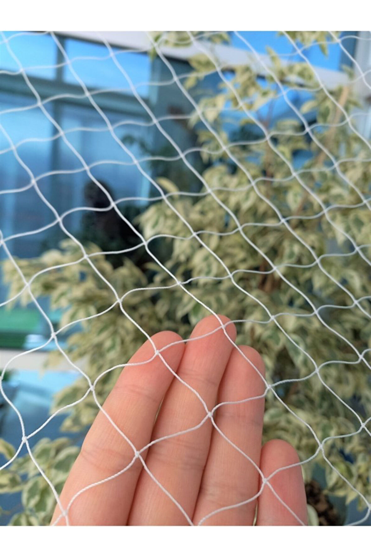 Yükseklik 2,50 Uzunluk 7 Metre Kuş Filesi Montaj Mağzemeli Balkon Filesi Balkon Kuş Ağı Balkon Ağı