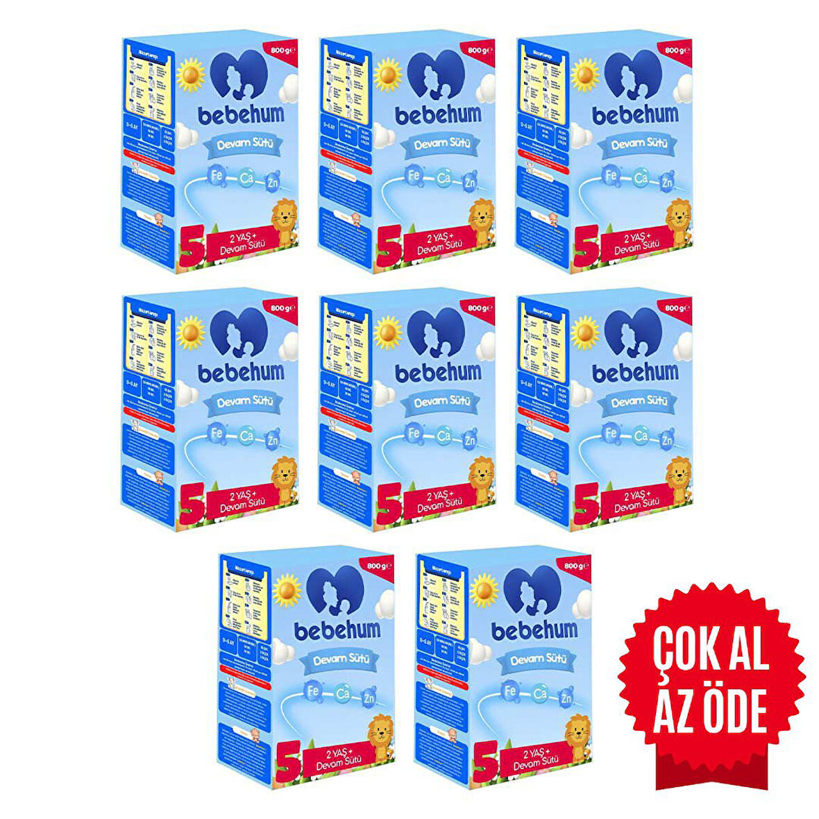 Bebehum 5 Devam Sütü 800 Gr 2 Yaş+ 8 Adet