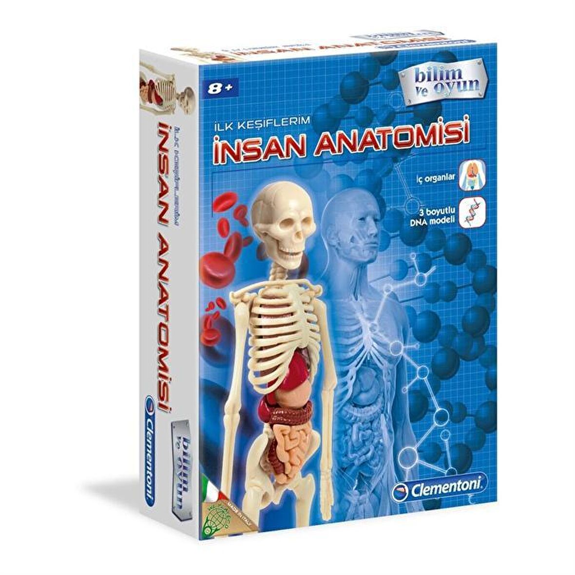 Clementoni İlk Keşiflerim - İnsan Anatomisi 64297 Lisanslı Ürün