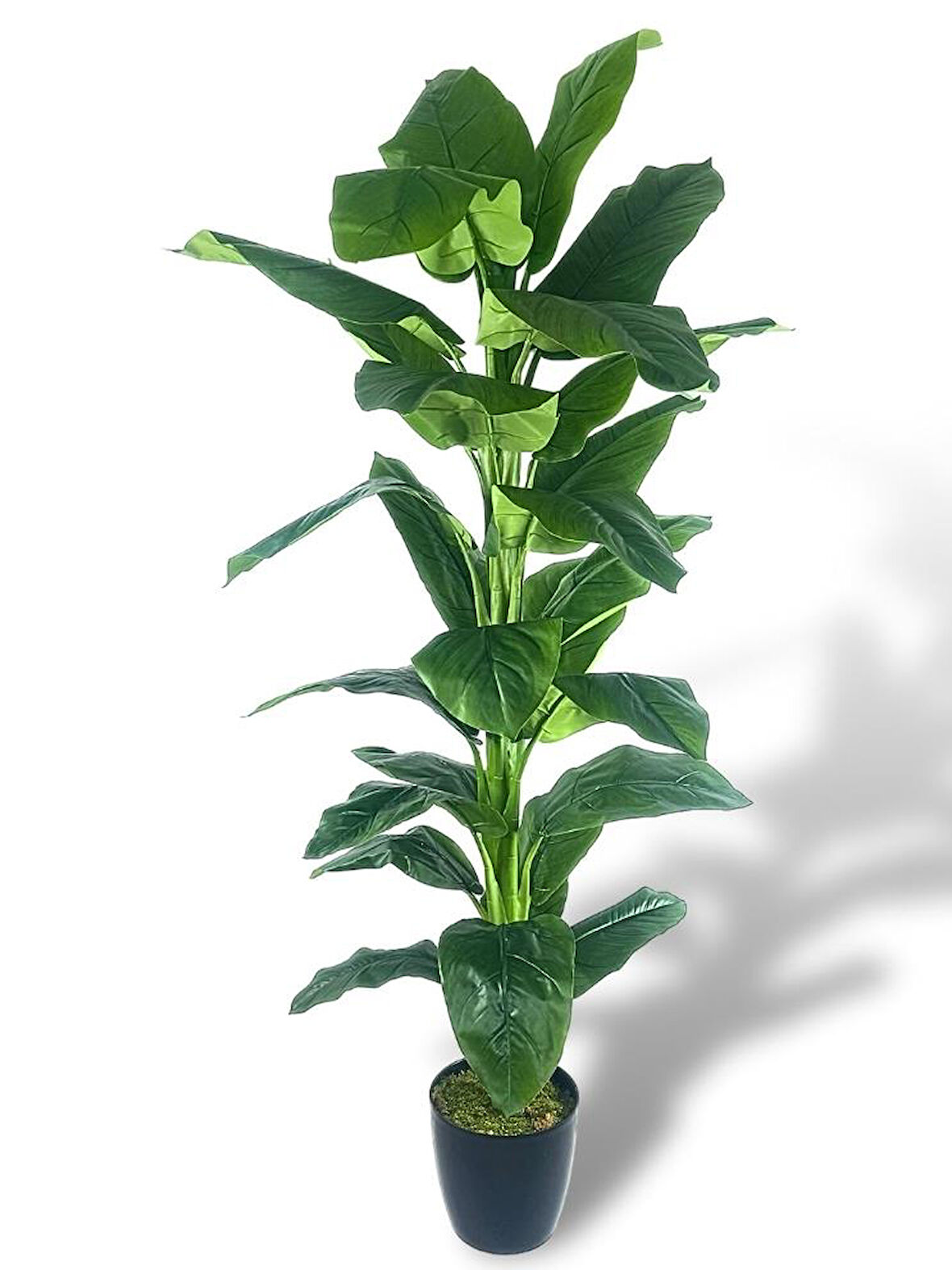 Yapay Ağaç Difenbahya Yeşil Salon Bitkisi Siyah Saksıda 180cm 