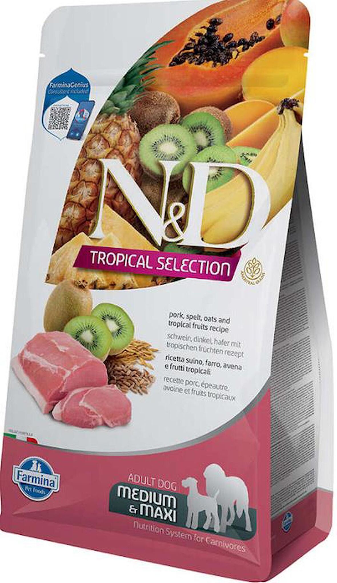 N&D Tropical Domuz Etli Orta ve Büyük Irk Yetişkin Köpek Maması 10 Kg