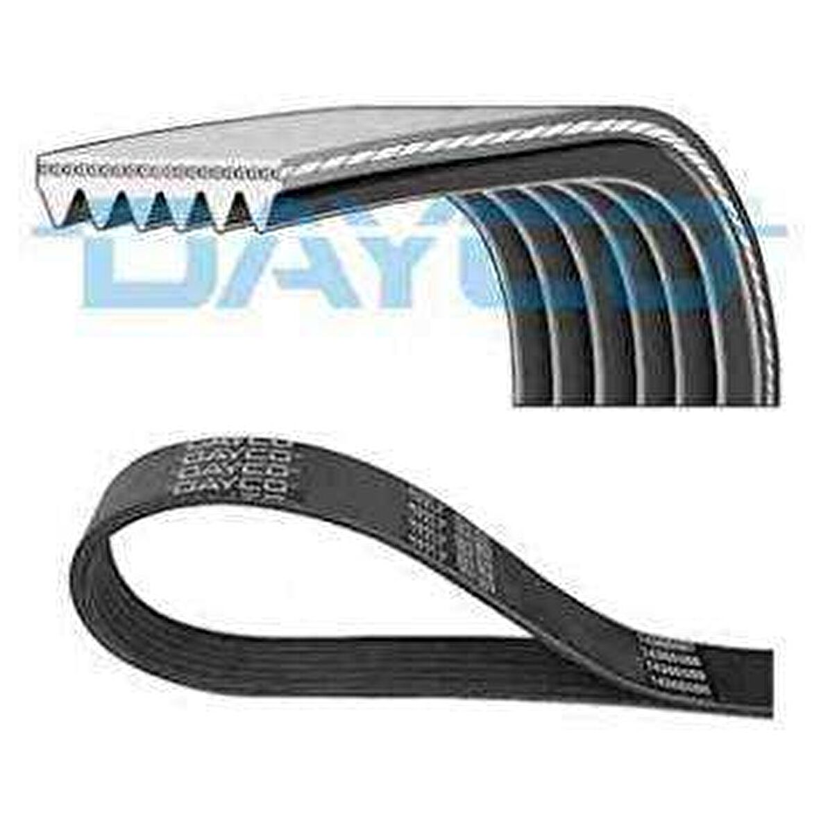 KANALLI KAYIS - DAYCO 6PK1372