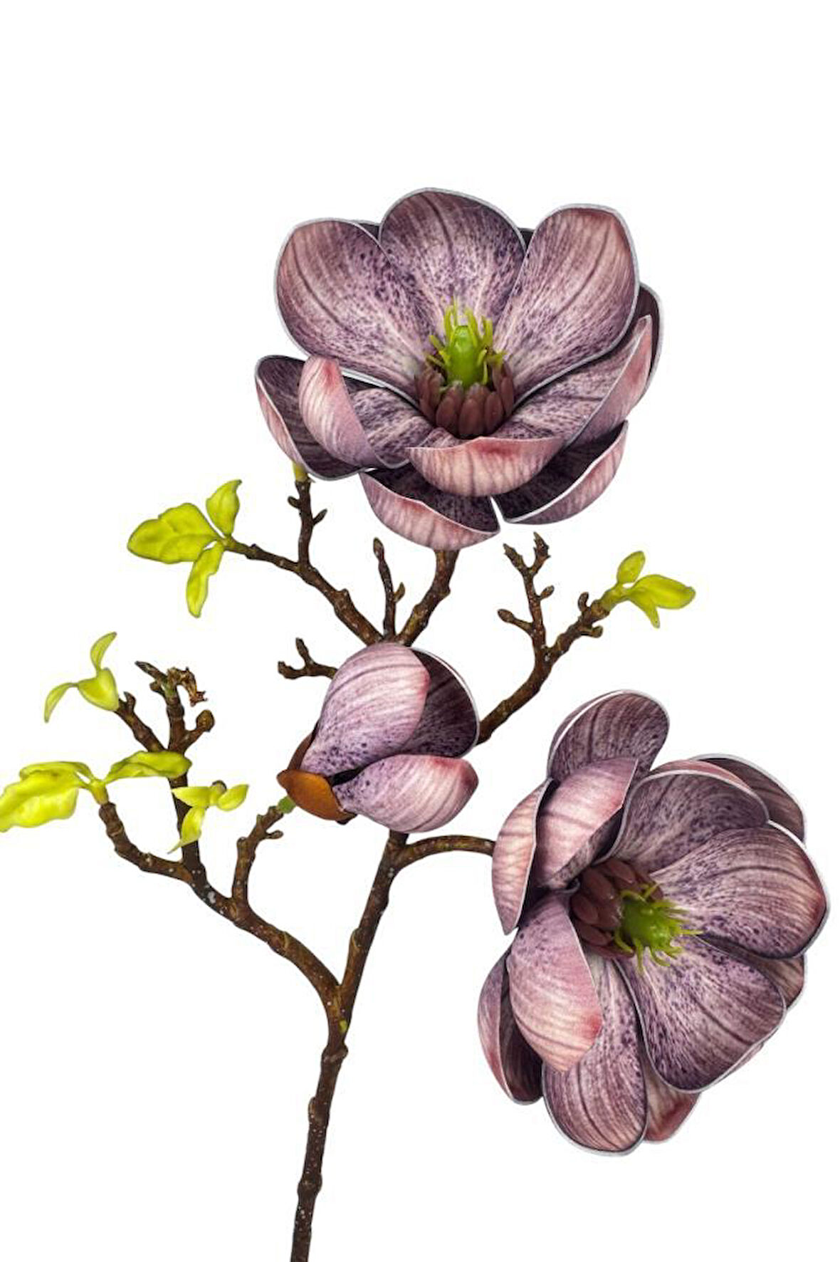 Yapay Çiçek Eva Lila Manolya 2 Çiçek 1 Tomurcuk Uzun Dal Çiçek Flowers 55cm Gerçeksi Doku