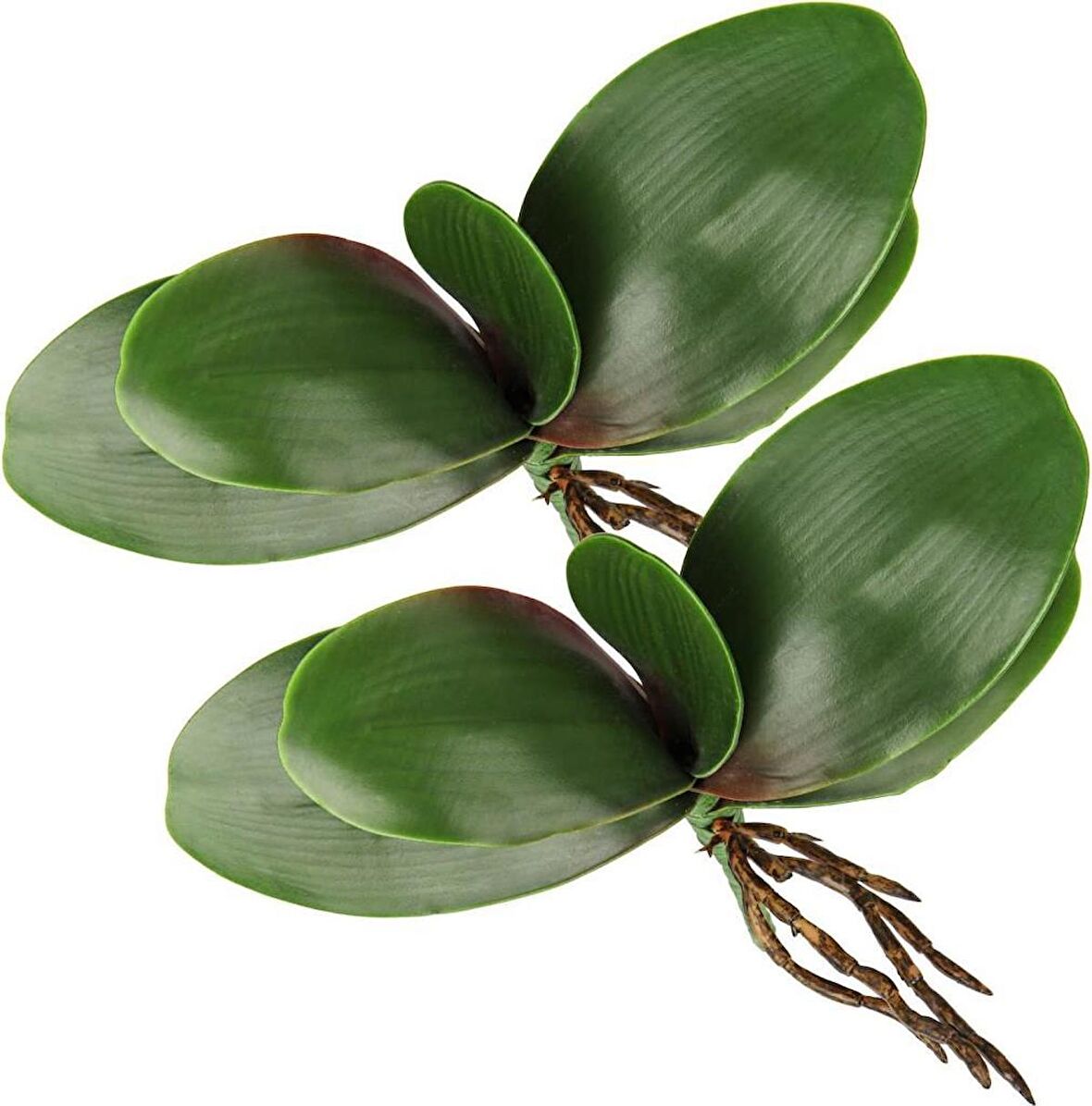 2li Set Yapay Çiçek Orkide Yaprağı Doğal Görünüm 