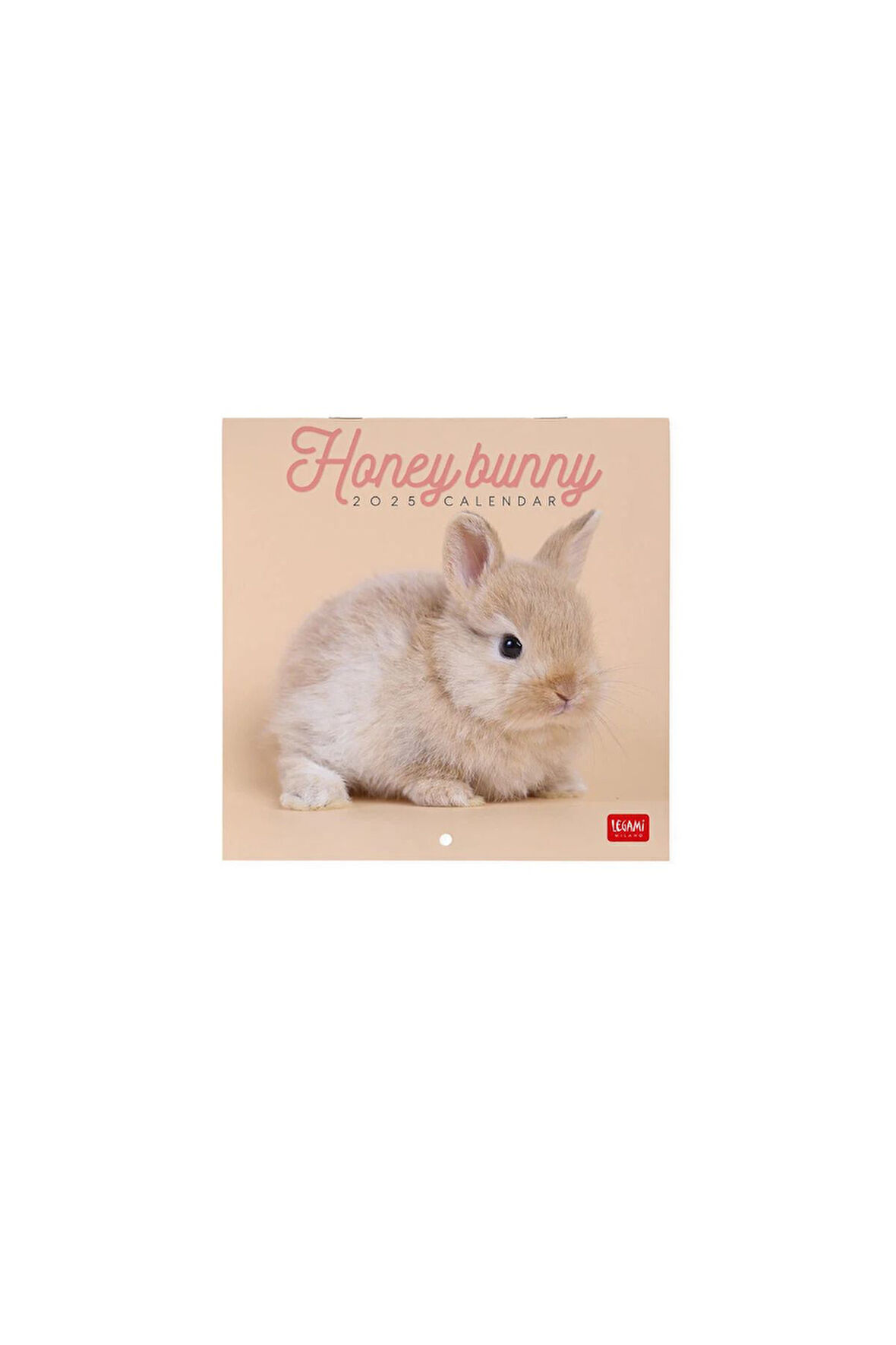 Duvar Takvimi 2025 - Honey Bunny