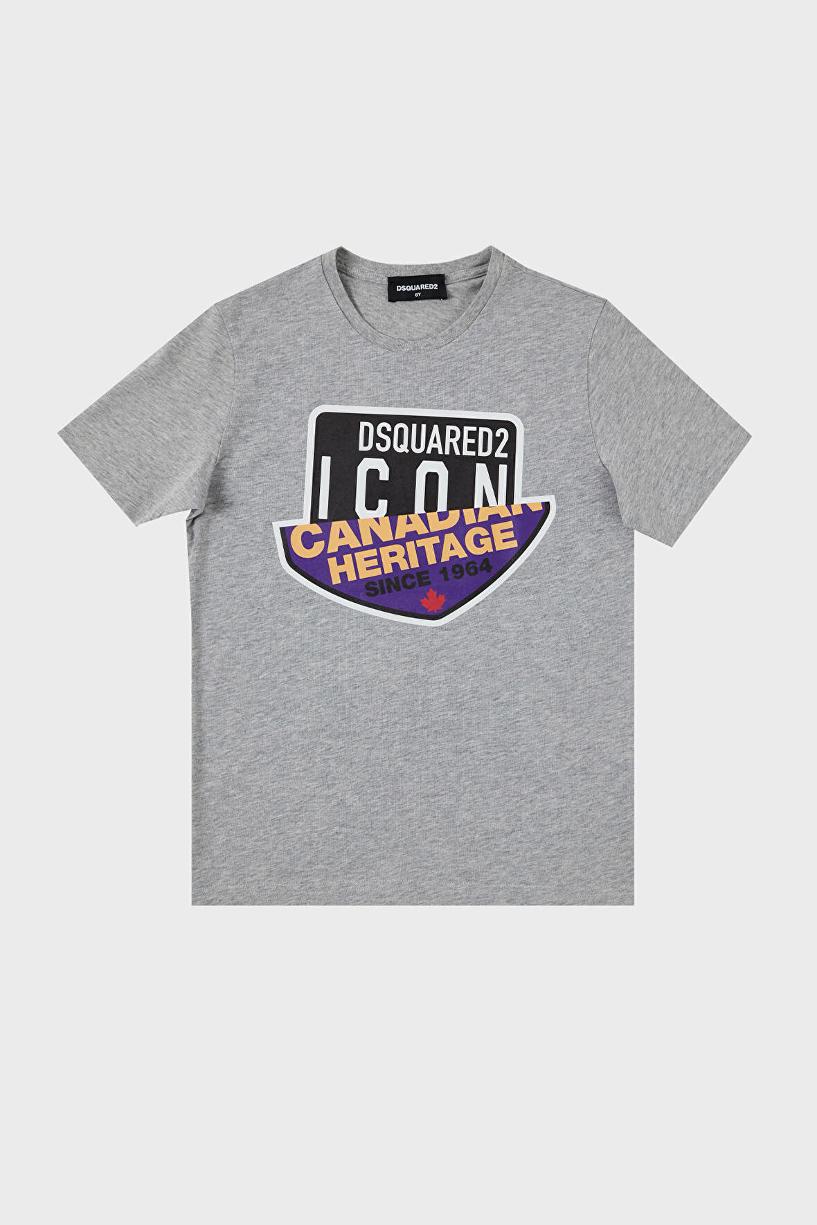 Dsquared2 Çocuk T Shirt DQ0244-D00YV GREY