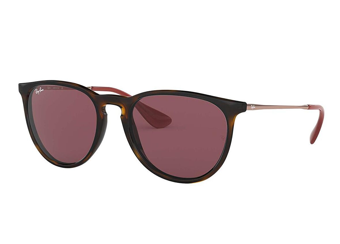 Ray-Ban RB4171 6391/75 54 Unisex Güneş Gözlüğü