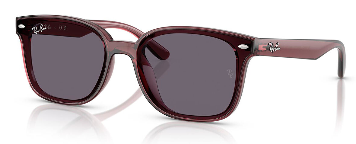 Ray-Ban RB4461D 659373 64 Unisex Güneş Gözlüğü