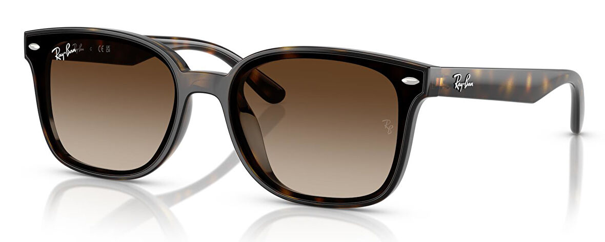 Ray-Ban RB4461D 710/13 64 Unisex Güneş Gözlüğü