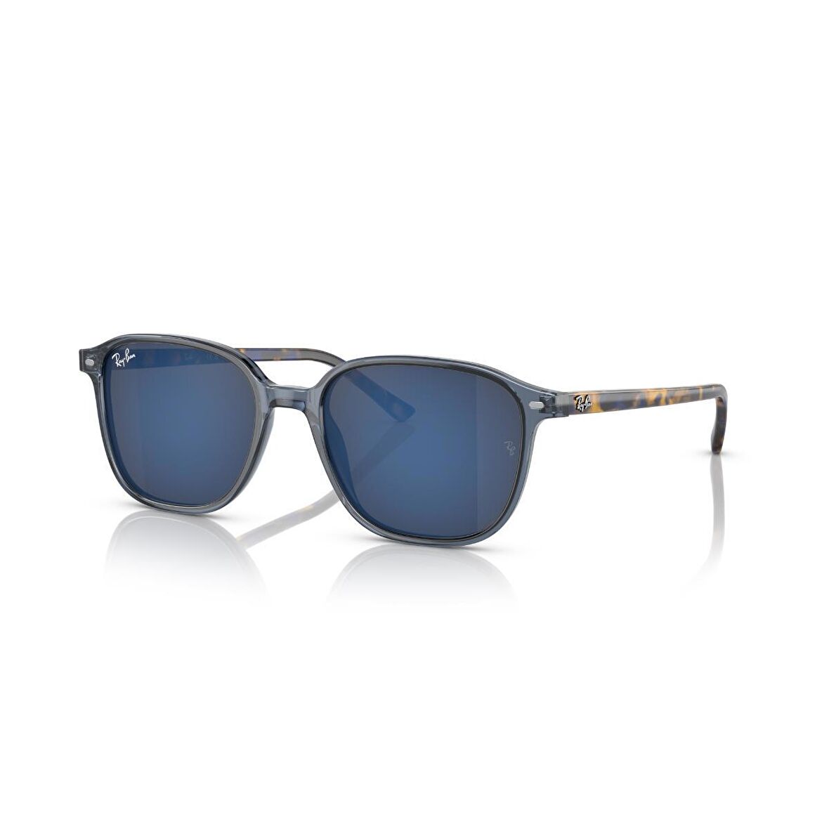 Ray-Ban Leonard Güneş Gözlüğü RB 2193 6638O4 53