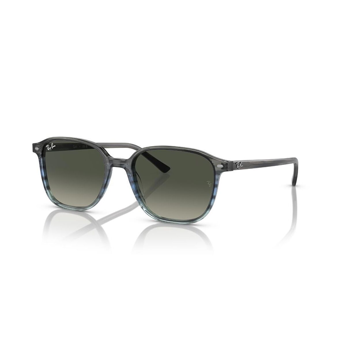 Ray-Ban Leonard Güneş Gözlüğü RB 2193 138171 53 G