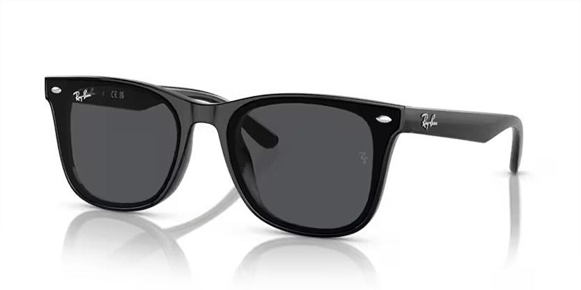 RAY-BAN RB4420 601/87 65 Unisex Güneş Gözlüğü