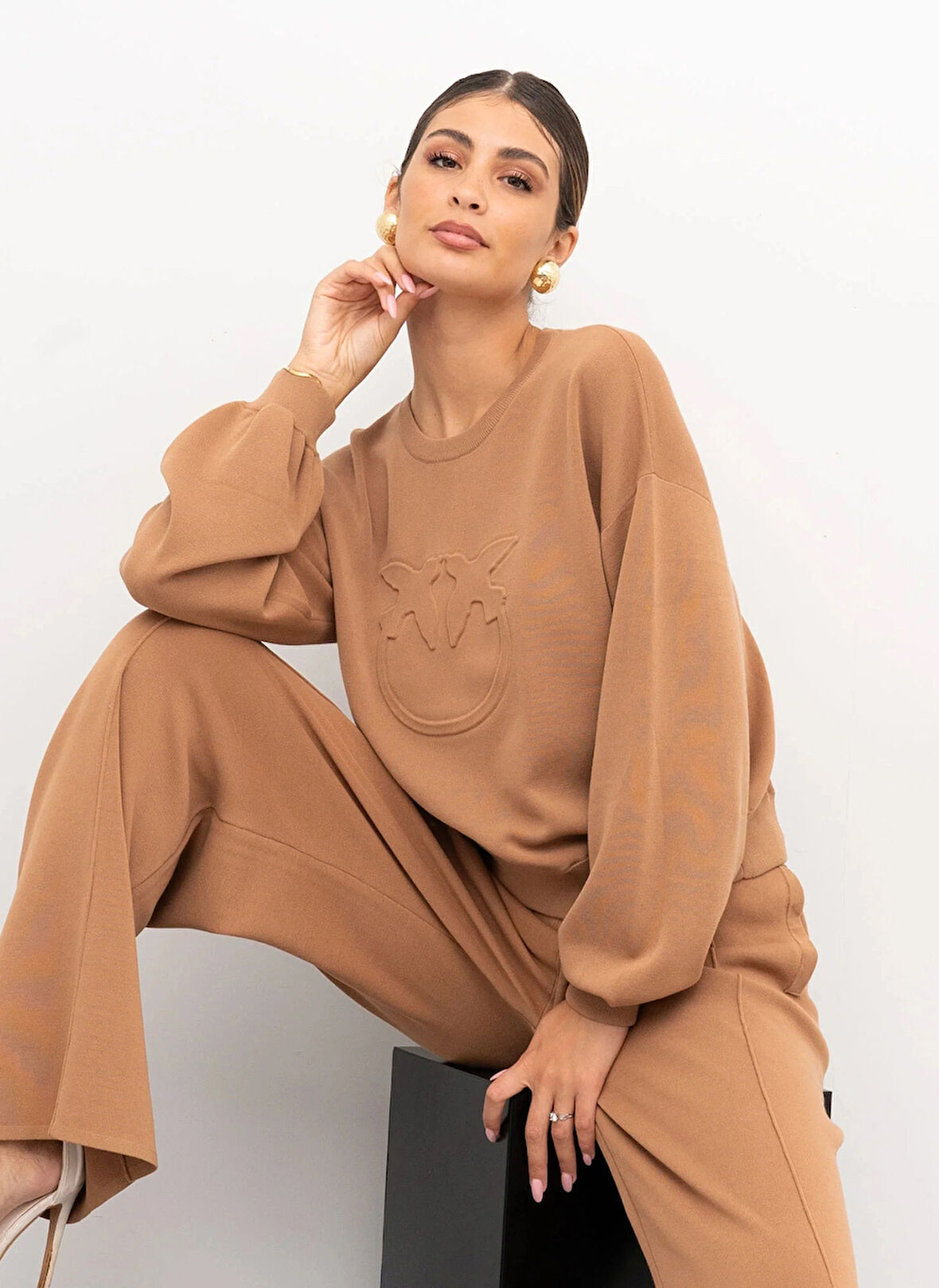 Pinko Yuvarlak Yaka Düz Açık Kahve Kadın Sweatshırt 104002-A115/D91