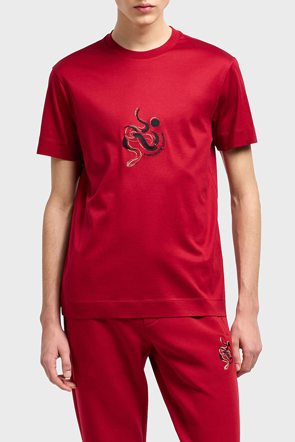 Emporio Armani Erkek T Shirt EM001702 AF10017 U5078