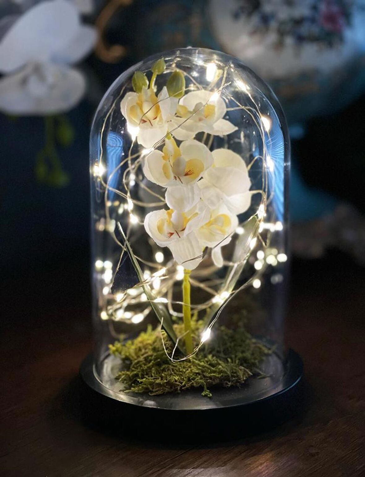 Faunus İçerisinde Işıklı Yapay Beyaz Orkide Anneler Günü Özel Hediye 