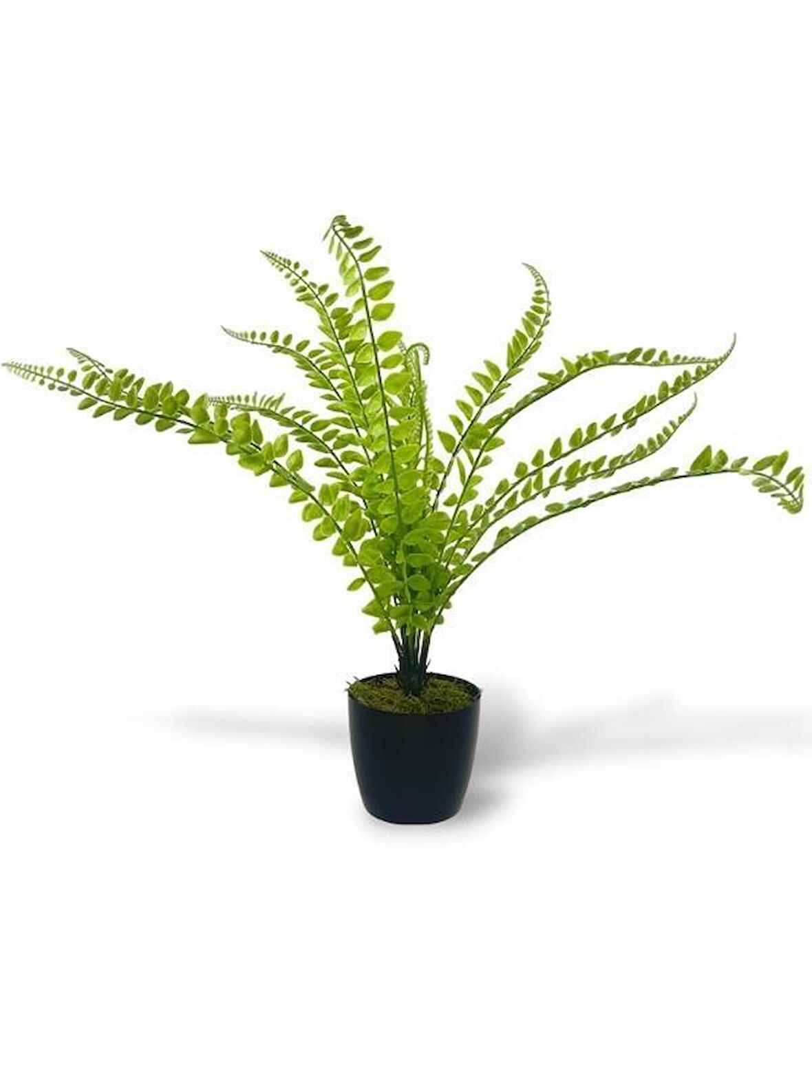 Yapay Çiçek Islak Sıkas Yukka 15yaprak 50cm Salon Çiçeği Plastik Siyah Saksılı Yapay Bitki