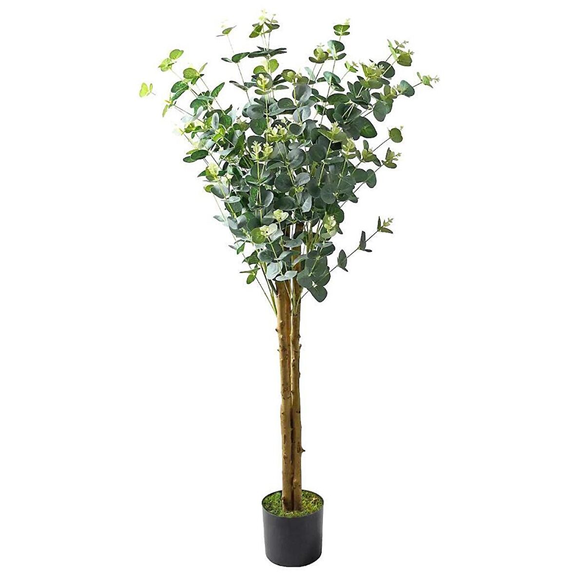 Yapay Okaliptus Ağacı 120cm Doğal Gövdeli Gerçek Görünümlü Yapay Ağaç