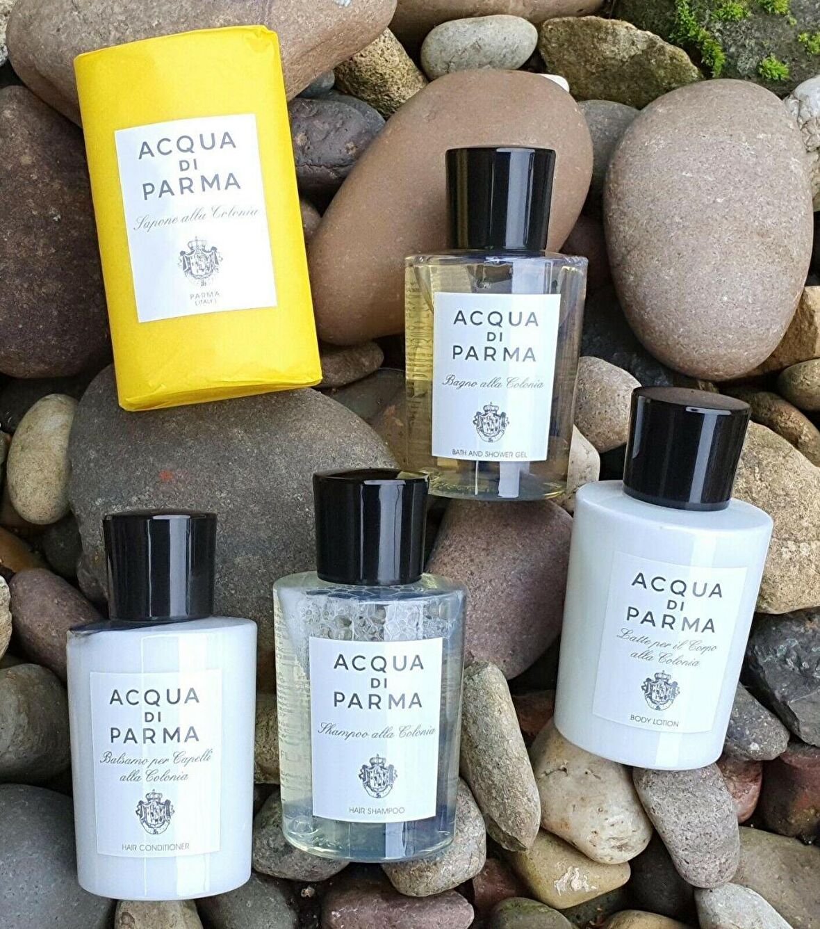 Acqua di Parma Colonia 5'li Saç ve Vücut Bakım Seti 4 x 75 ml + 100 gr