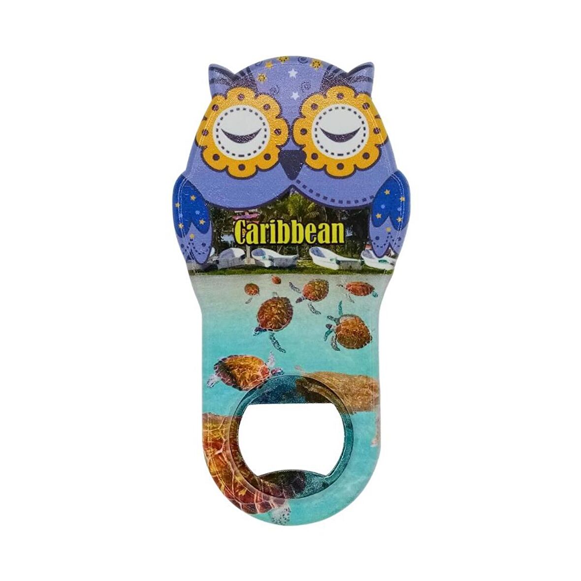 Karayipler Temalı Baykuş Magnet Kapak Açacak