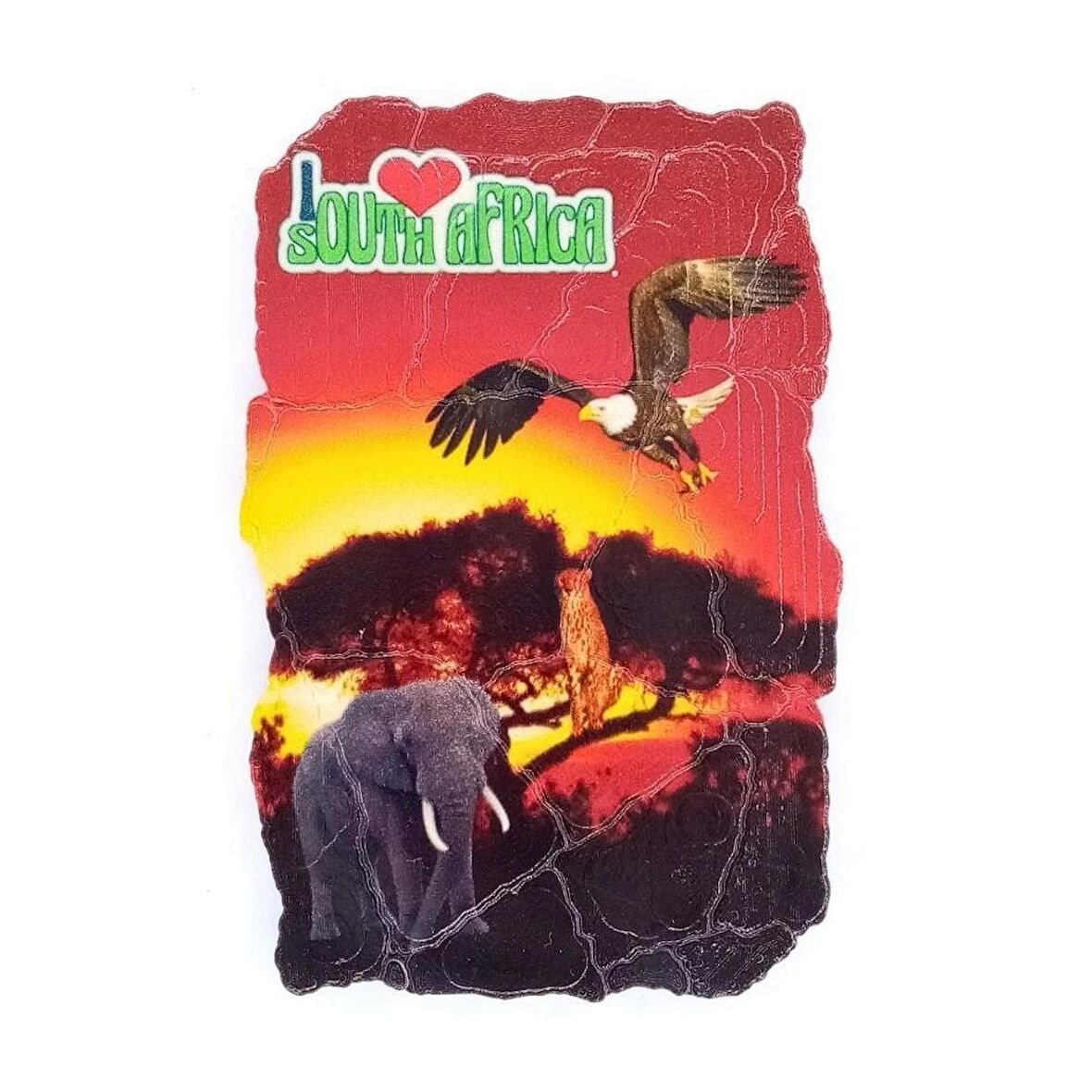 Güney Afrika Temalı Fresco Magnet
