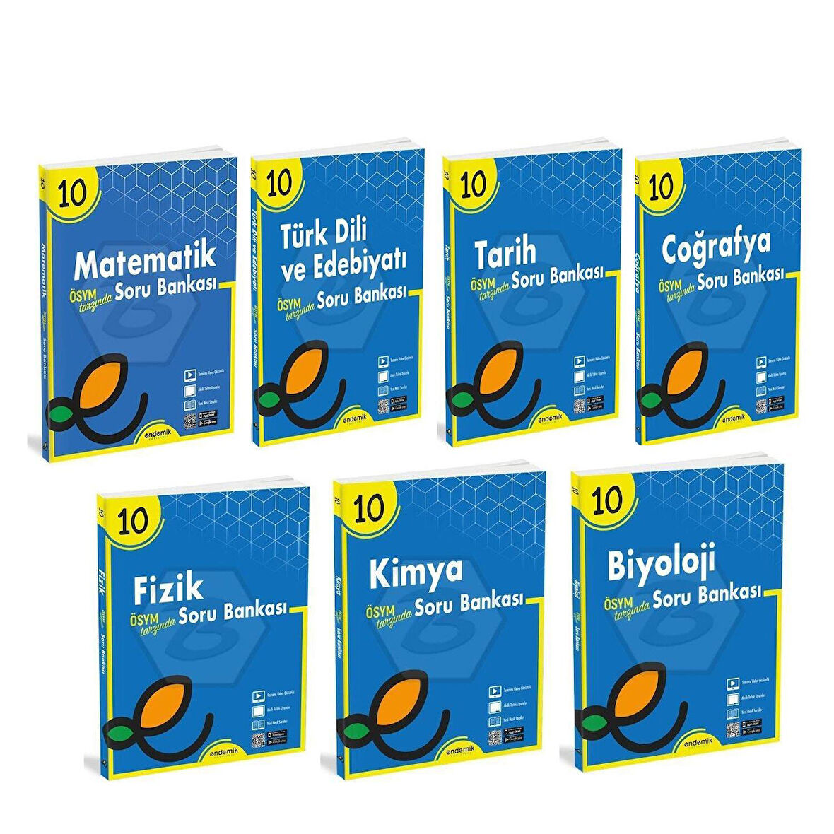 Endemik 10.Sınıf Soru Bankası Seti 7 Kitap