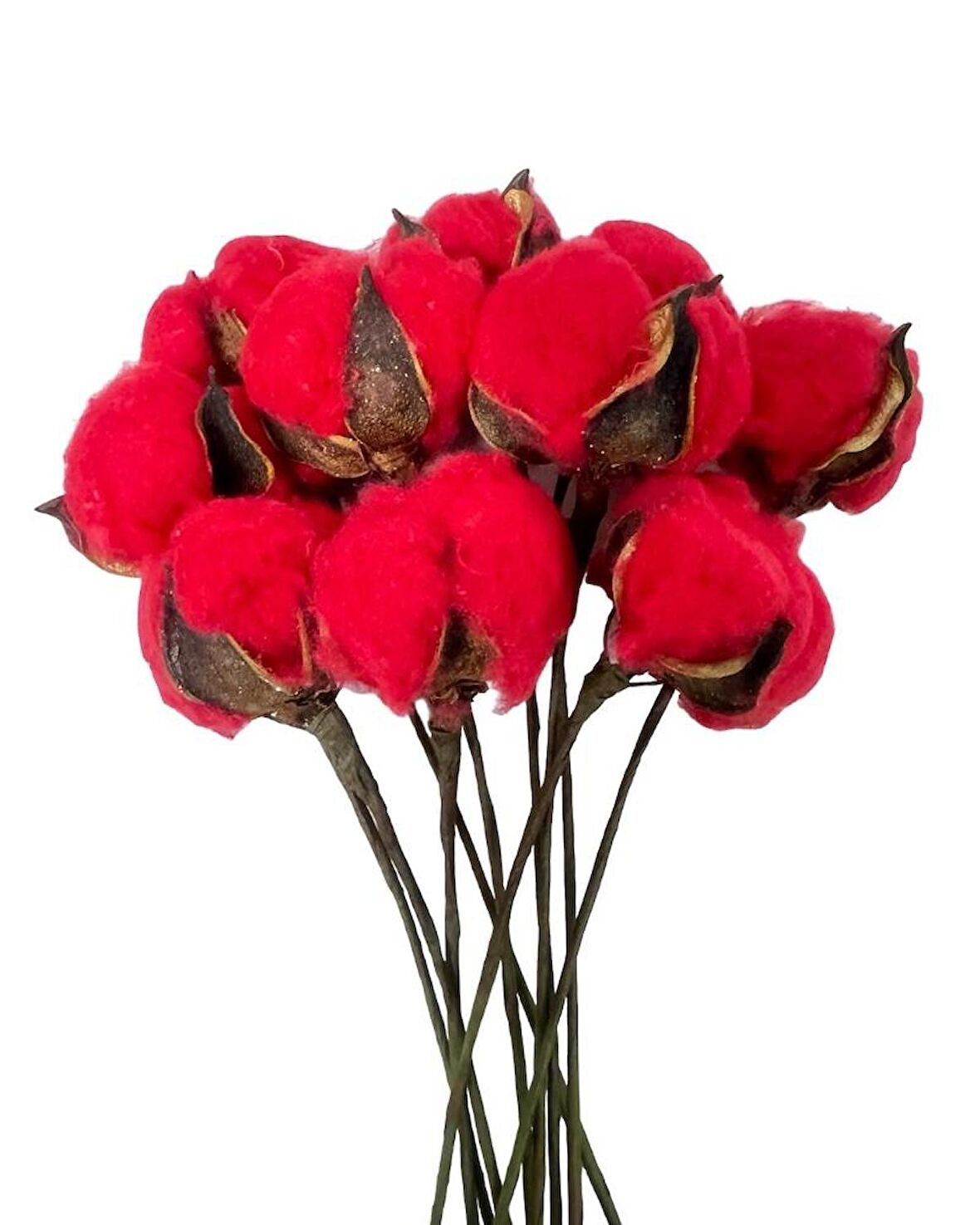 Doğal Pamuk Çiçeği Kırmızı 10 Adet Tekli Dal Kuru Çiçek 30 cm Yapay Çiçek