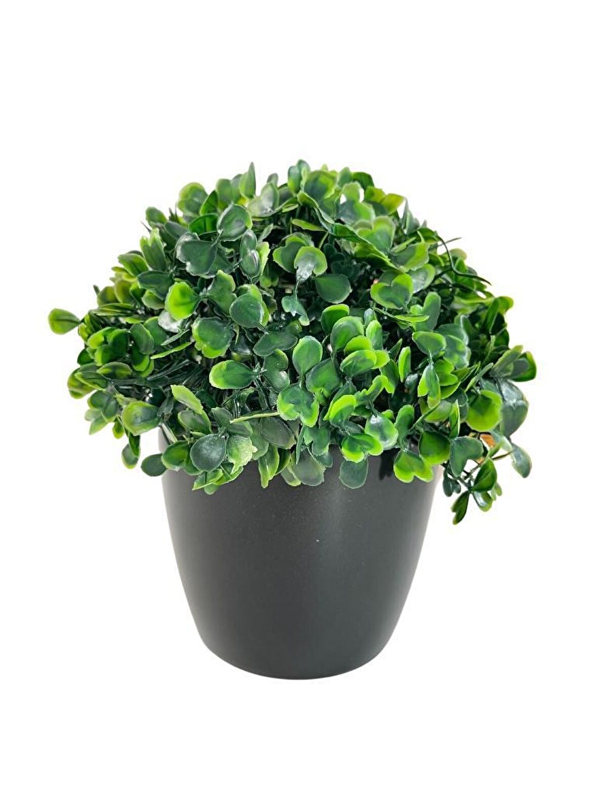 Yapay Çiçek Şimşir Bonus 19*17cm Yapay Bitki Siyah Plastik Saksılı Dekoratif Süs Çiçeği