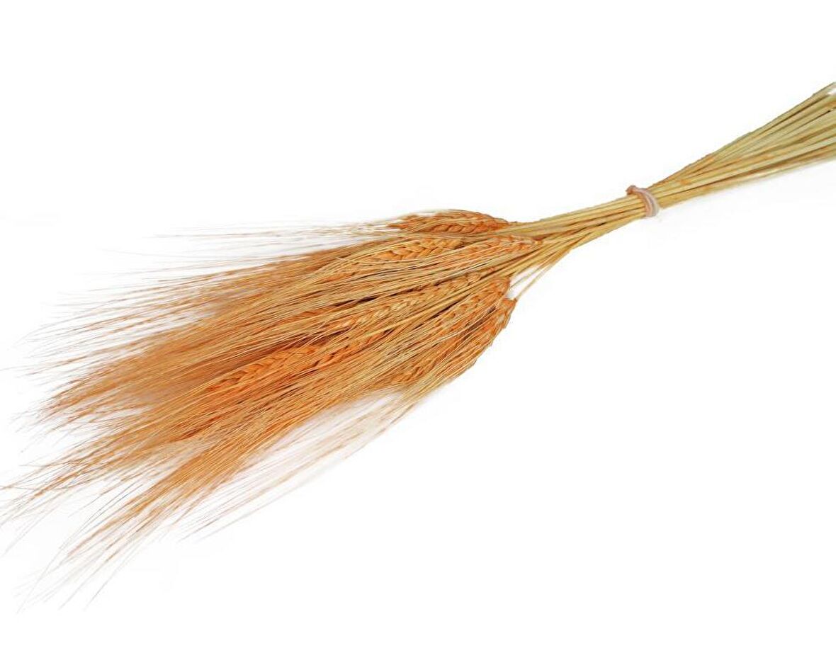 Kuru Çiçek Doğal Turuncu Başak 35gram 1. Kalite Şoklanmış Bozulmaz