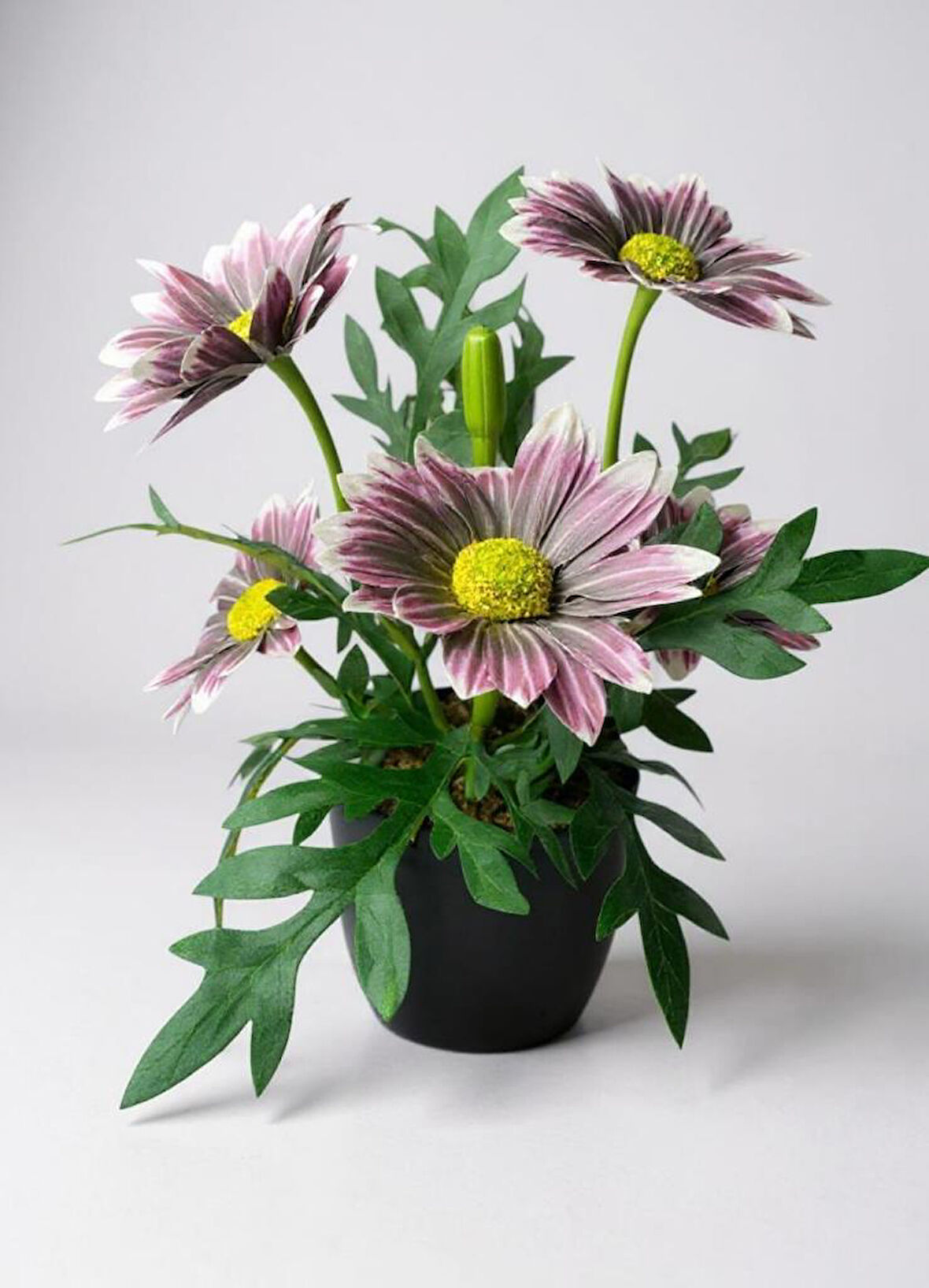 Yapay Çiçek Mürdüm Margarit Papatya Siyah Saksıda Dekoratif Yapay Çiçek 30*25cm