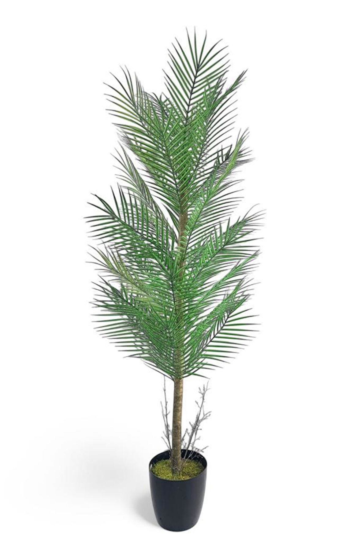 Yapay Ağaç Palmiye 155*50Cm 30Yaprak Areka Ağacı Siyah Saksıda Tek Gövdeli