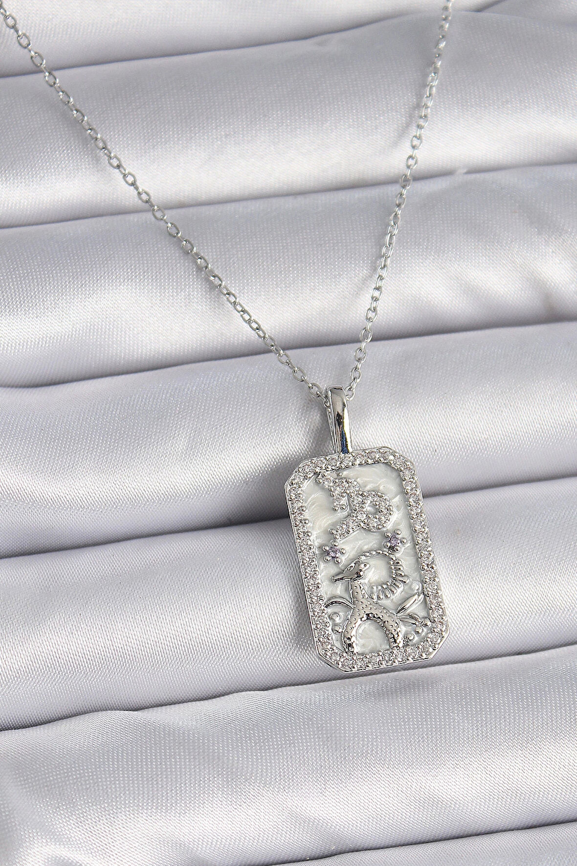 316L Çelik Gümüş Renk Zincir Oğlak Burcu Zirkon Taşlı Kadın Kolye