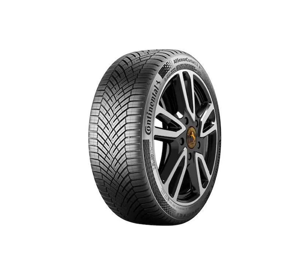 205/55R19 97V XL AllSeasonContact 2 CONTINENTAL 4 MEVSİM LASTİĞİ 2025