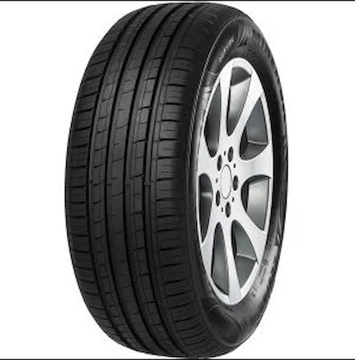 205/70R14 95T F209 MINERVA