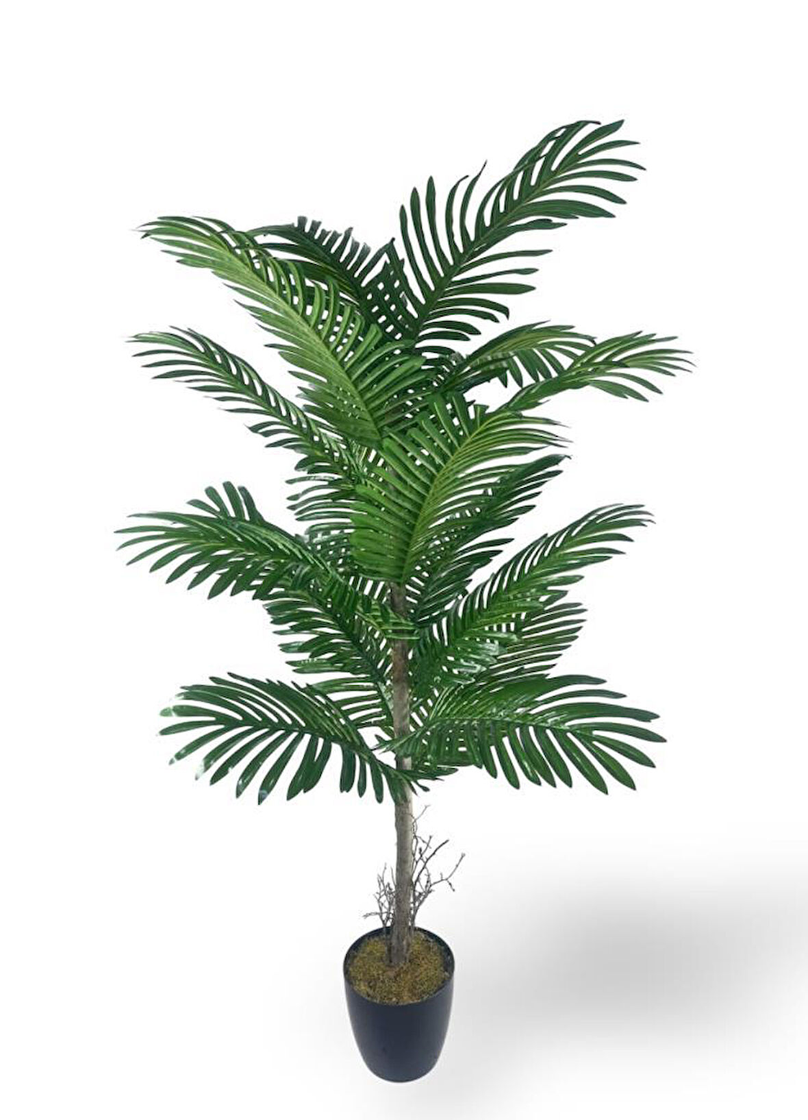 Yapay Ağaç Palmiye 16Yaprak Areka Ağacı Siyah Saksıda Tek Gövdeli 150*70Cm