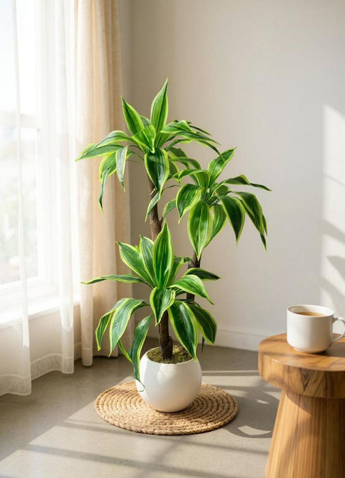 Yapay Ağacı Yukka Sarı Şeritli Draceena Ağacı Beyaz Küre Saksıda 100*50cm