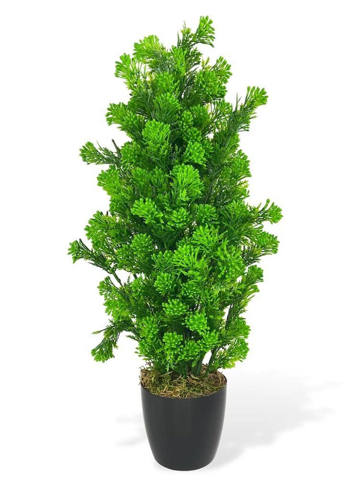 Yapay Çiçek Siyah Saksıda Yeşil Tohumlu Ponpon Selvi Ağacı 55cm