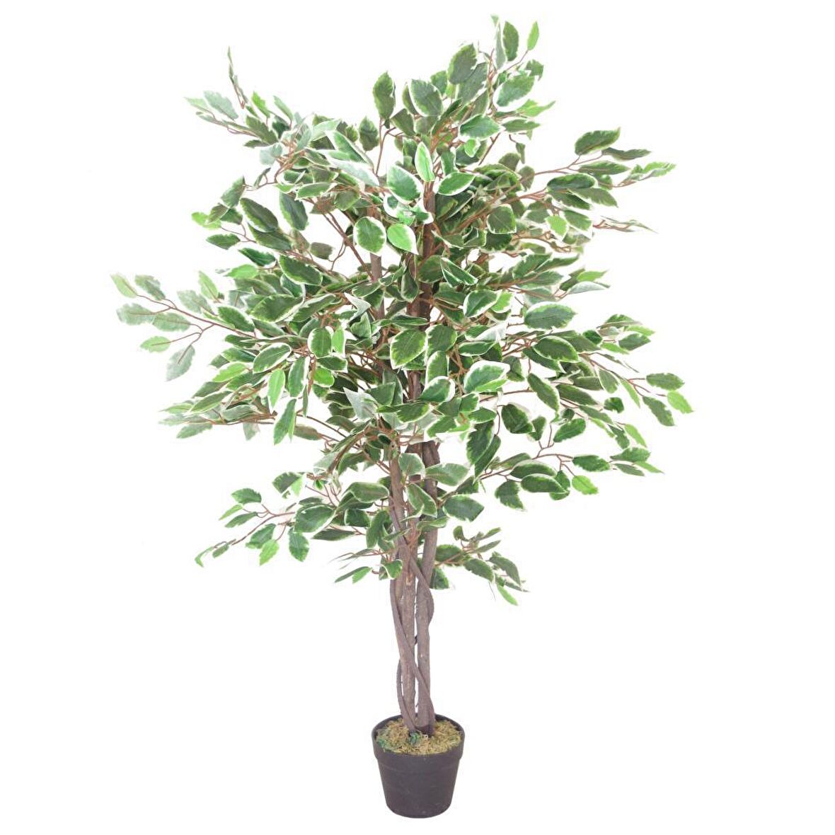 Yapay Ağaç Benjamin Yeşilbeyaz 2 Gövdeli Çalılı 120x70cm Siyah Plastik Saksılı