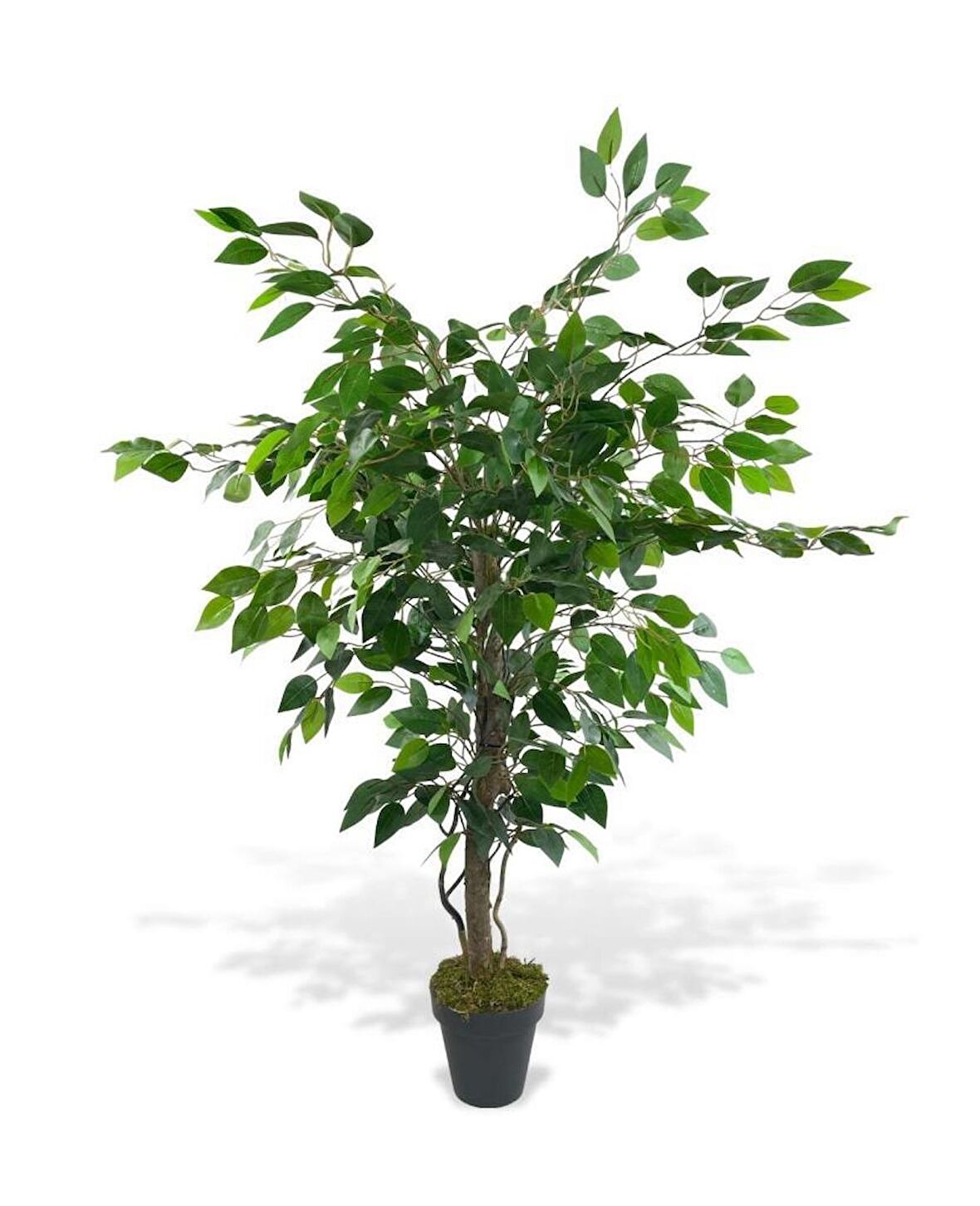 Yapay Ağaç Benjamin Yeşil SAlex Dallı 110*70cm Siyah Plastik Saksılı