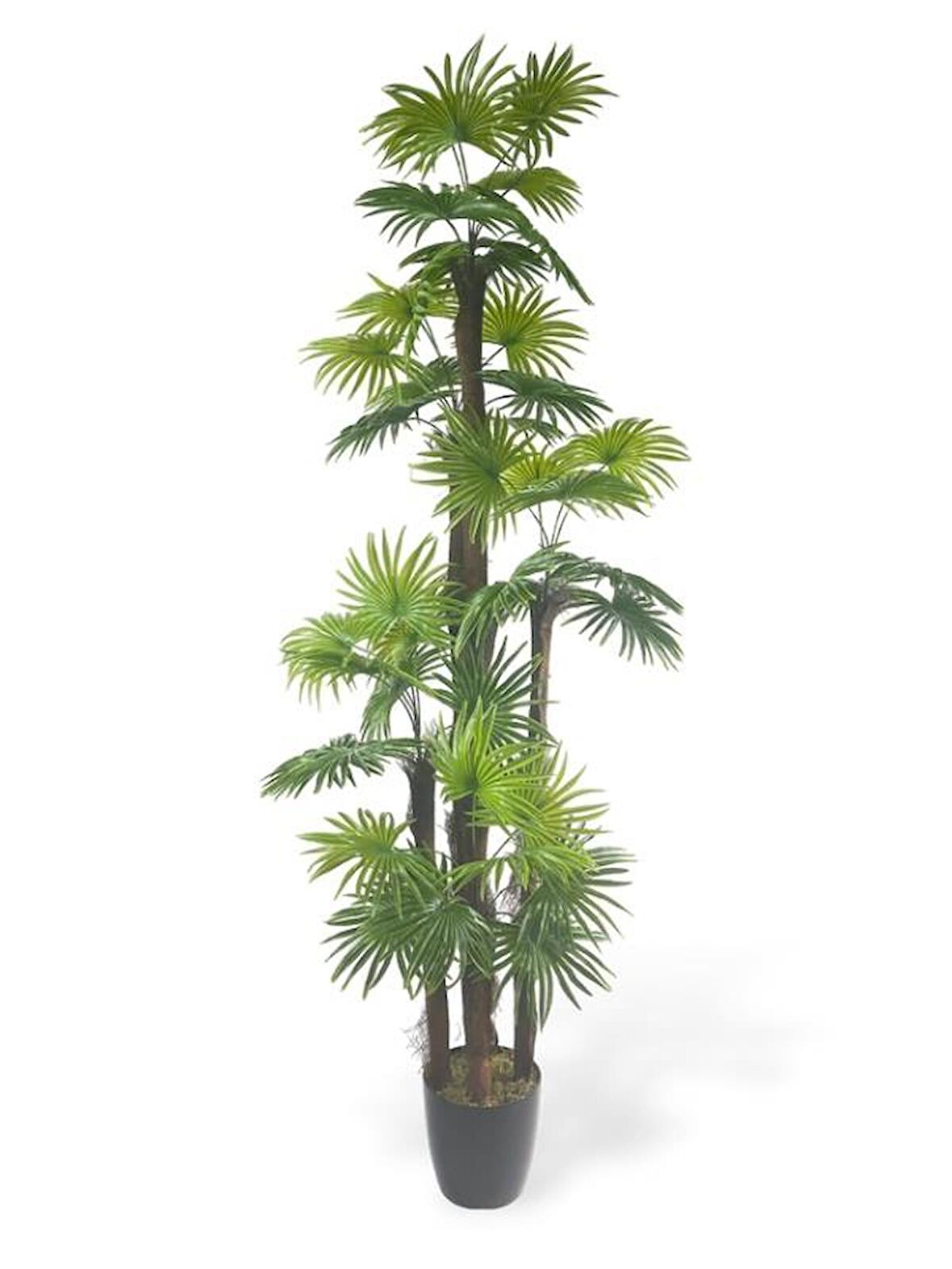 Yapay Ağaç Yelpaze Palmiye 5Katlı Fanpalm 40 Yaprak 180*65cm