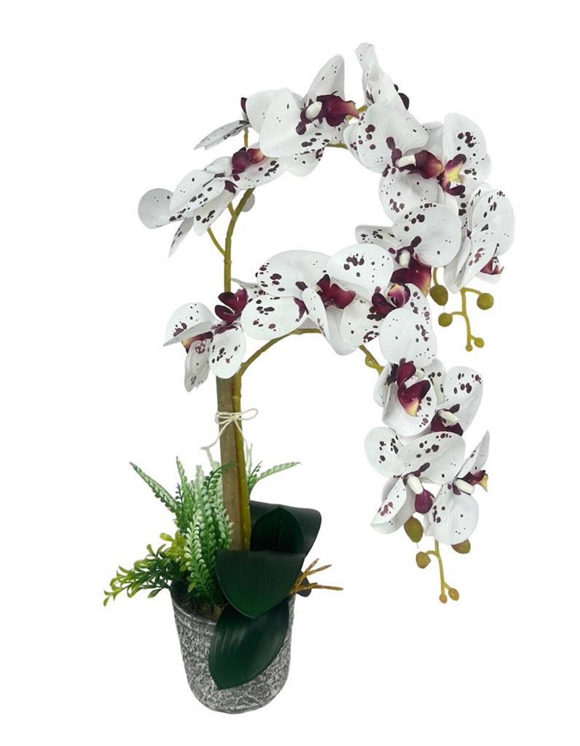 Yapay Çiçek 2li Benekli Bordo Islak Orkide Seramik Saksıda Orkide 60cm