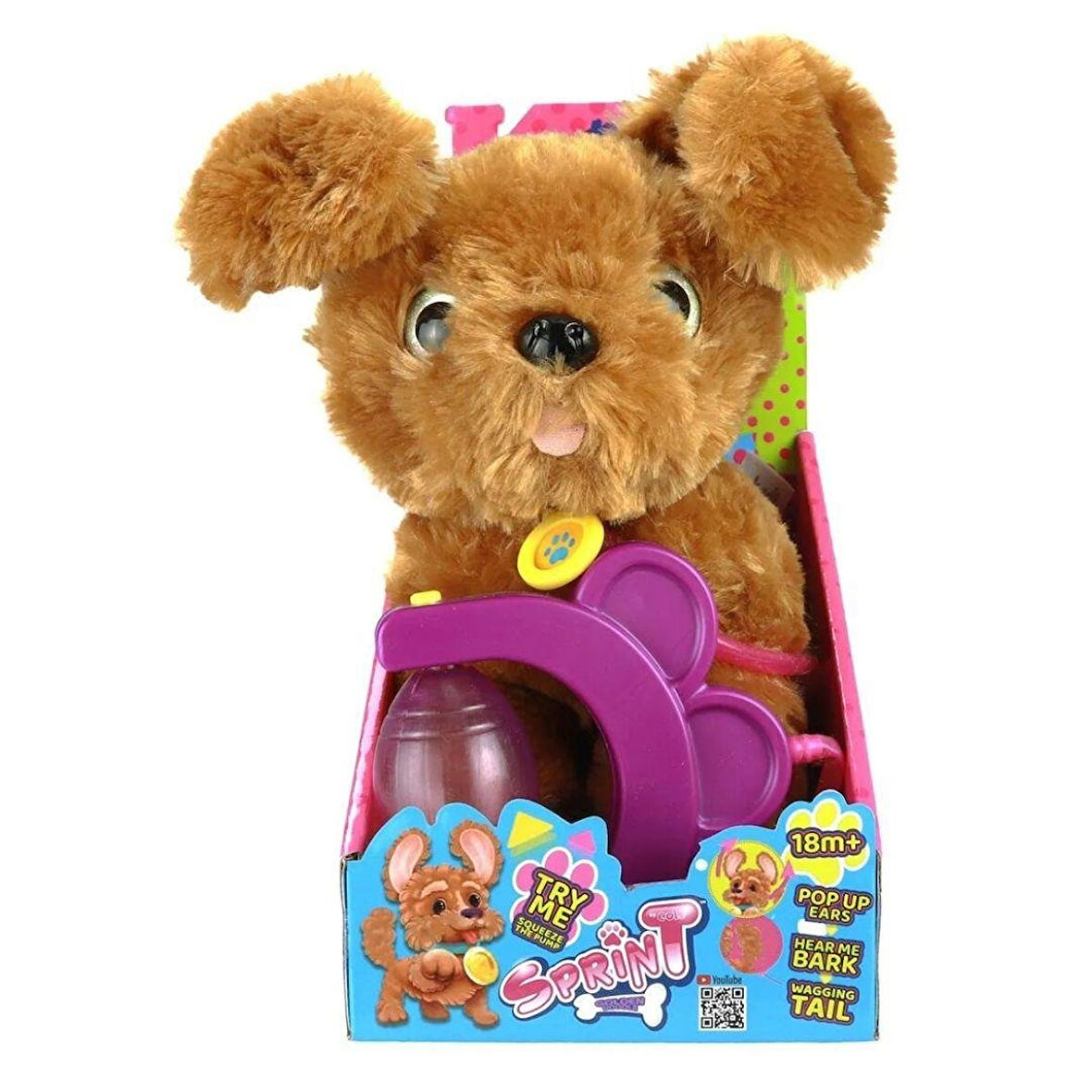 Sevimli Koşu Arkadaşım Golden