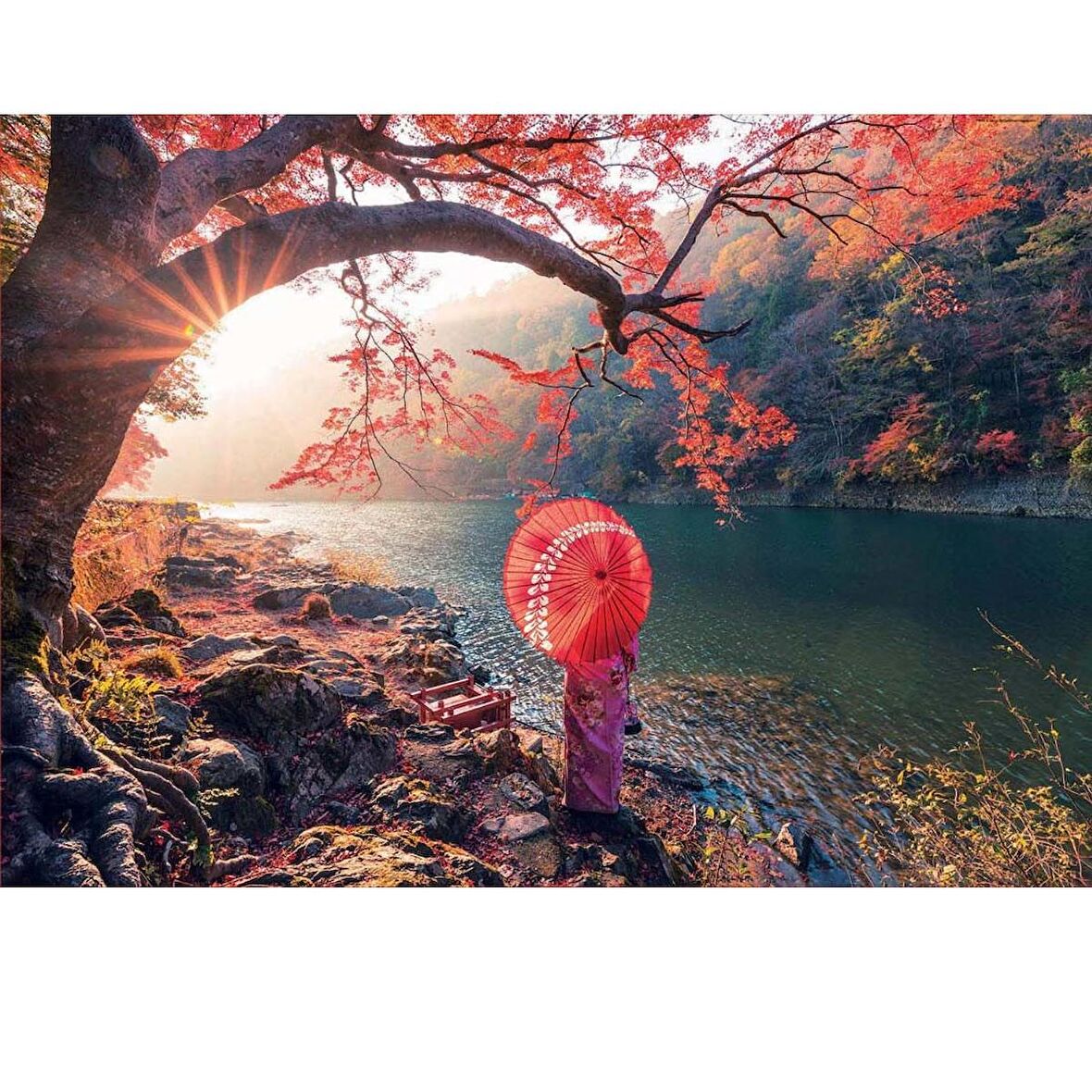 Educa Sanat 1000 Parça Yetişkin Puzzle