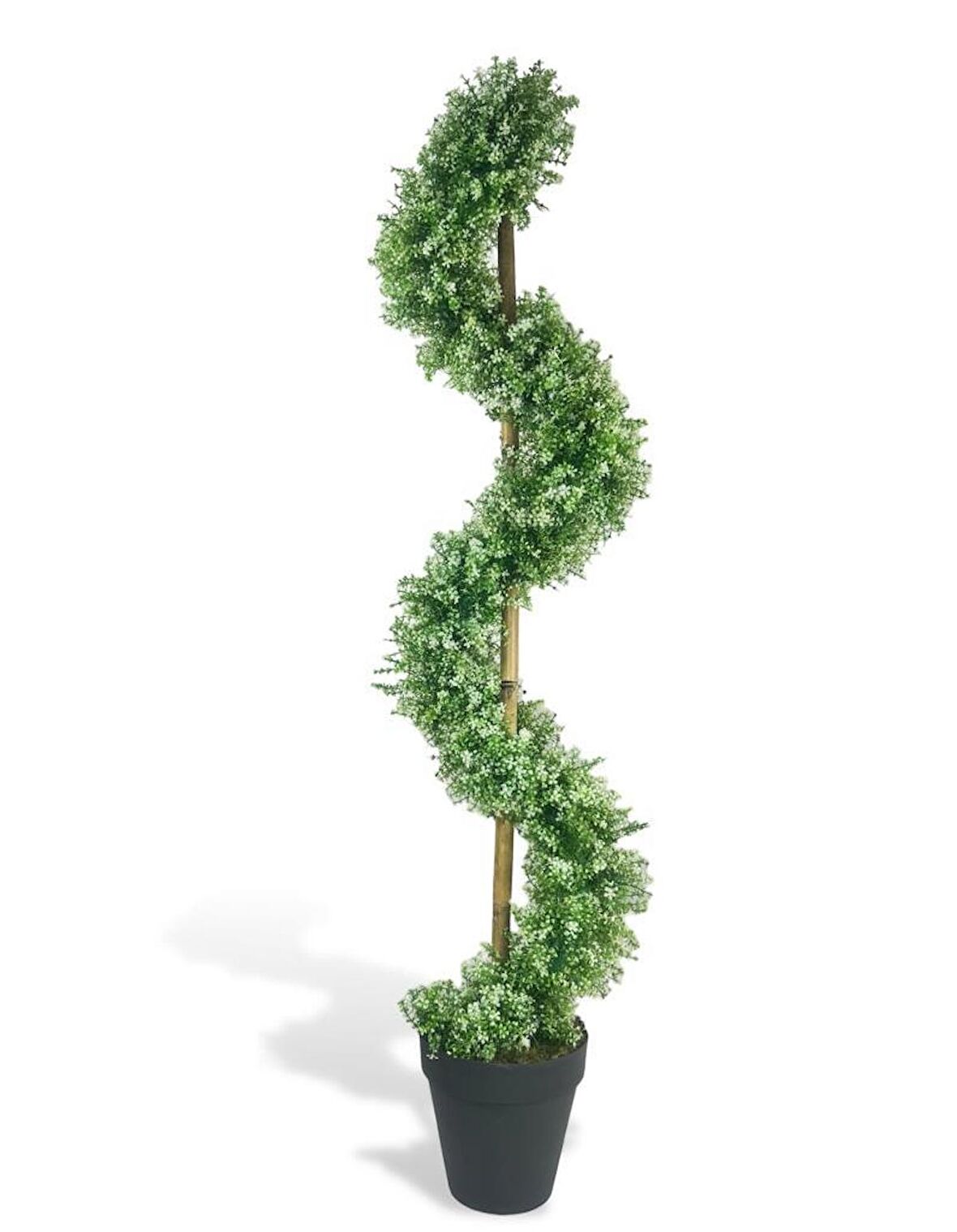 Yapay Ağaç Spiral Beyaz Yonca Şimşir Ağacı 160cm Bambu Saplı Salon Bitkisi