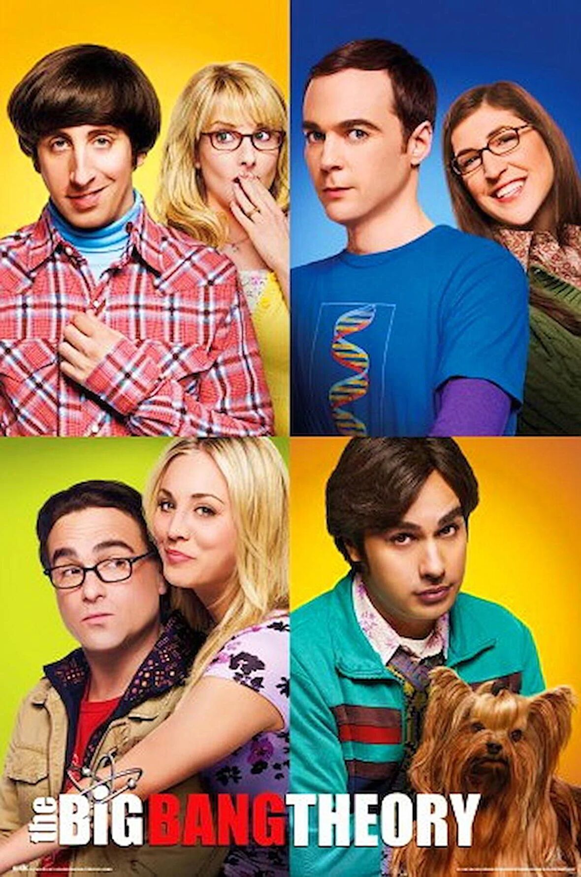 THE BIG BANG THEORY MOSAICO MAXI POSTER (ITHAL)