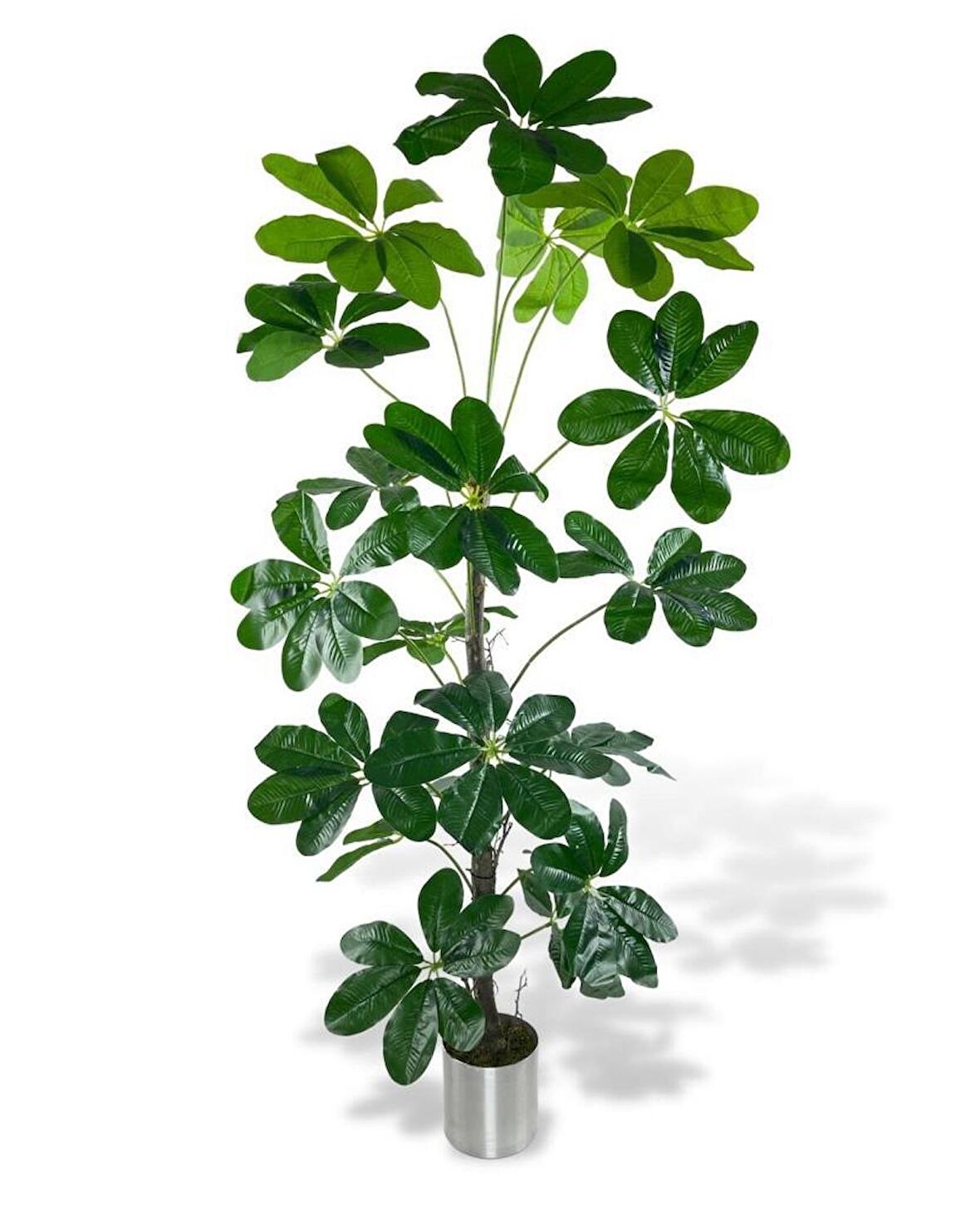 Yapay Ağaç Şeflera 18 Dallı Çalılı Gövde 120x60cm Gümüş Aleminyum Saksıda